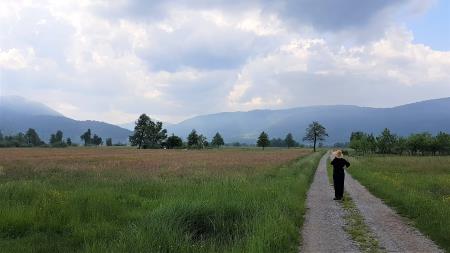 Pogled z barja proti Borovnici